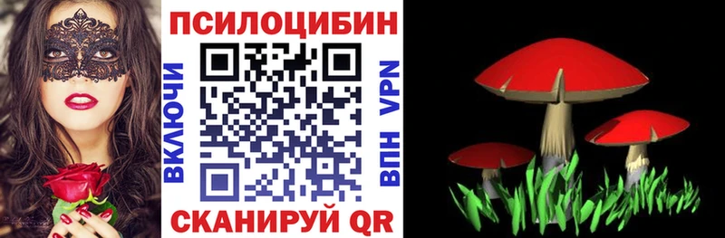 Галлюциногенные грибы Psilocybe  Спасск-Рязанский 